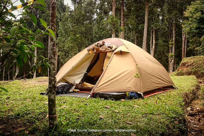 Sukabumi agathis digunakan acara cidahu biasa gathering