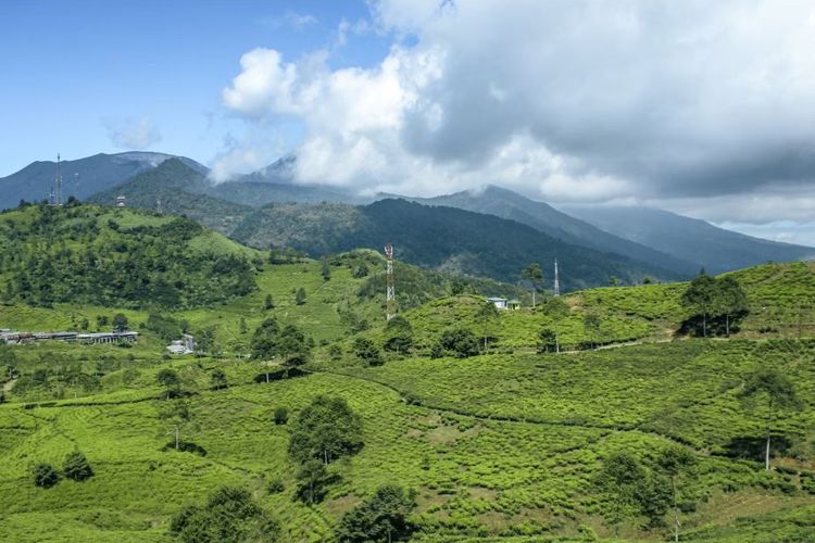 Desa di Sukabumi yang terkenal dengan kopi dan tehnya