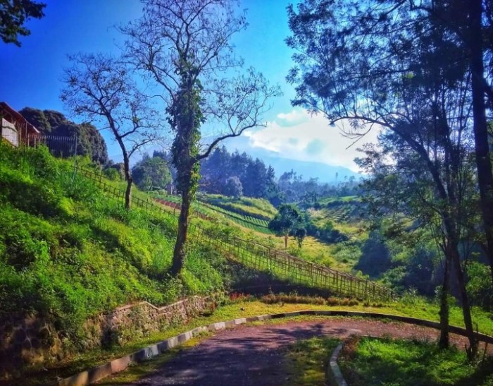 Sukabumi wisata paling gunung situ