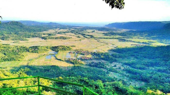 Jalur pendakian di Sukabumi dengan pemandangan yang memukau