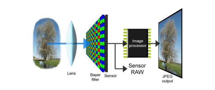 The role of image processing in smartphone camera sensors