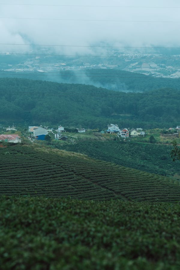 Pencatatan Tanah dan Properti Desa