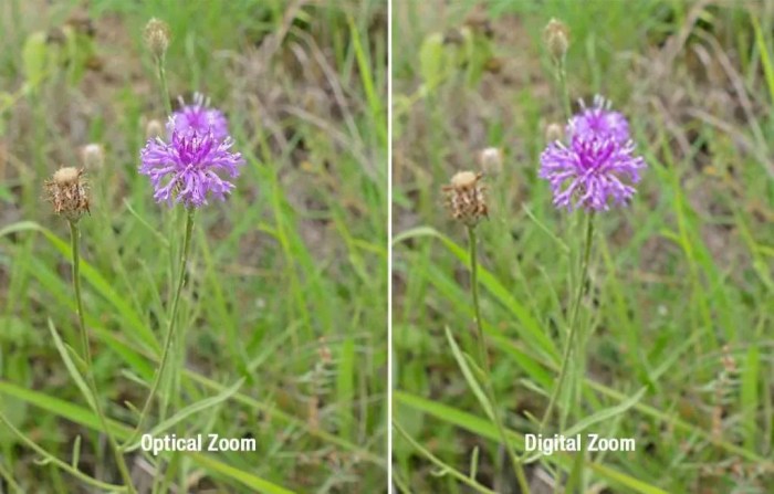 Comparing optical zoom vs digital zoom in phone cameras