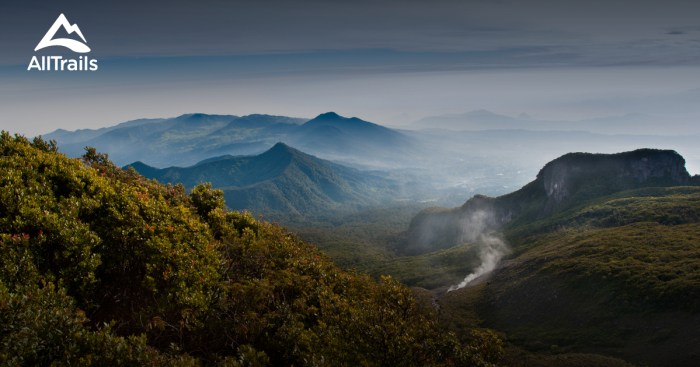 Gede pangrango