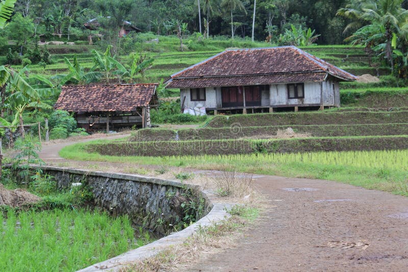 Desa di Sukabumi yang memiliki sejarah dan budaya unik